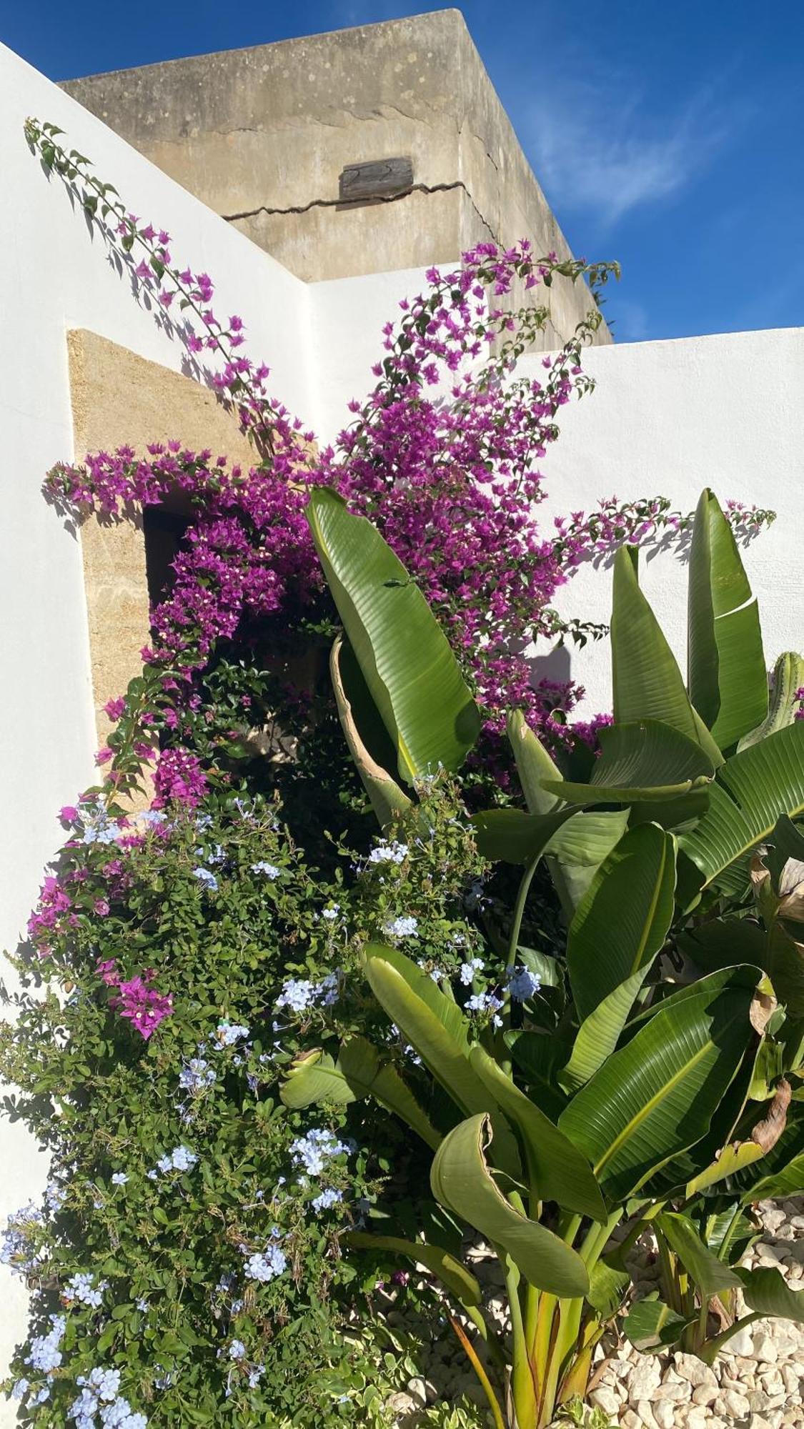 Casa Delle Rondini Βίλα Presicce Εξωτερικό φωτογραφία